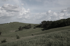 Killikus&reg; Fotographie